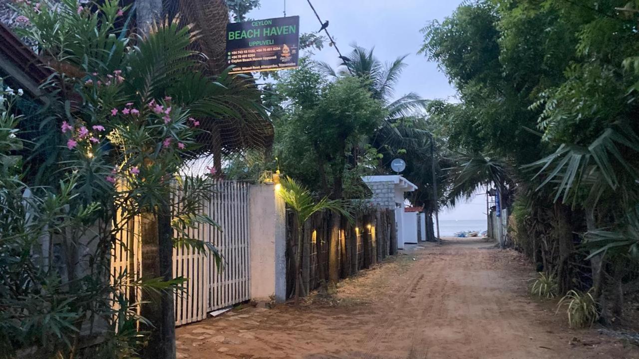 Ceylon Beach Haven Uppuveli Trincomalee Eksteriør bilde